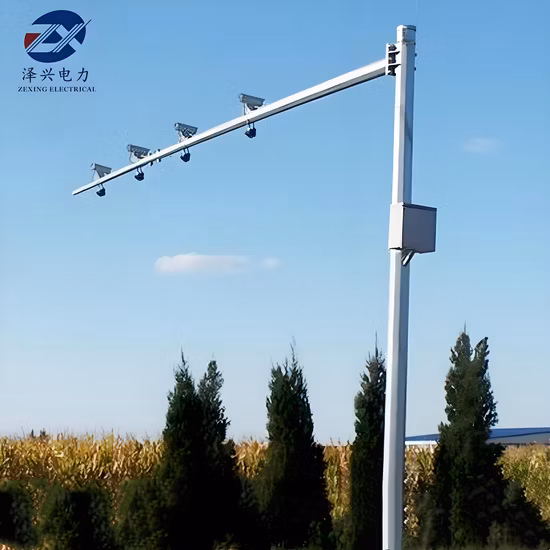 Poteaux de caméra Q235B galvanisés OEM